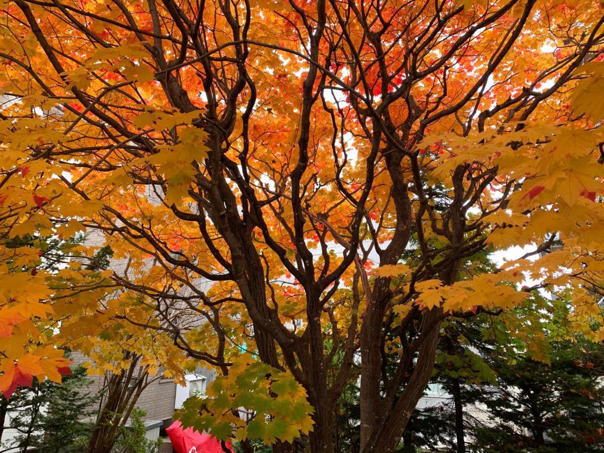 Hdo Sumikawa Villa Sapporo Exteriör bild